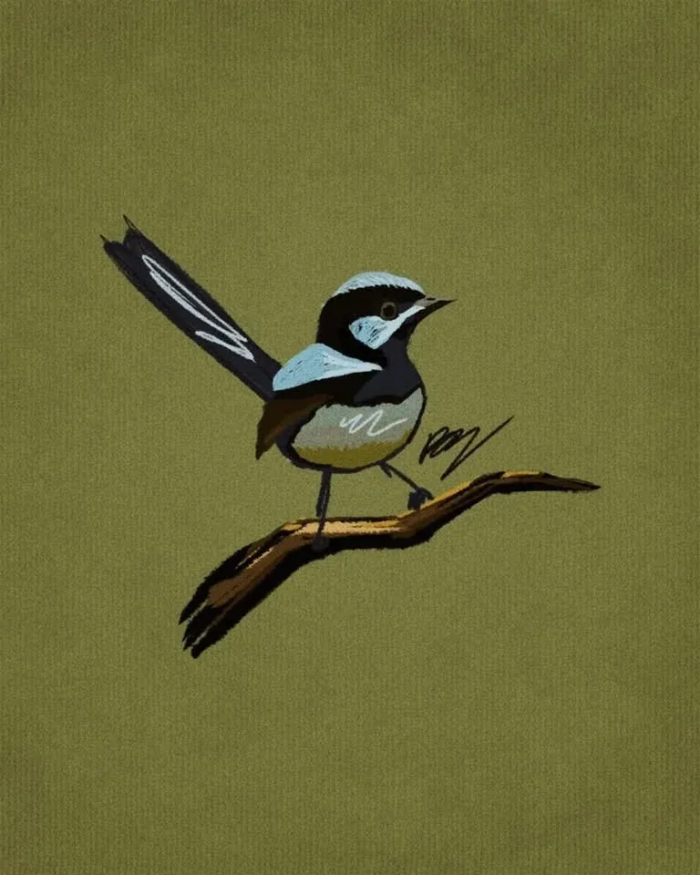 Ink illustration of a superb fairywren on a branch