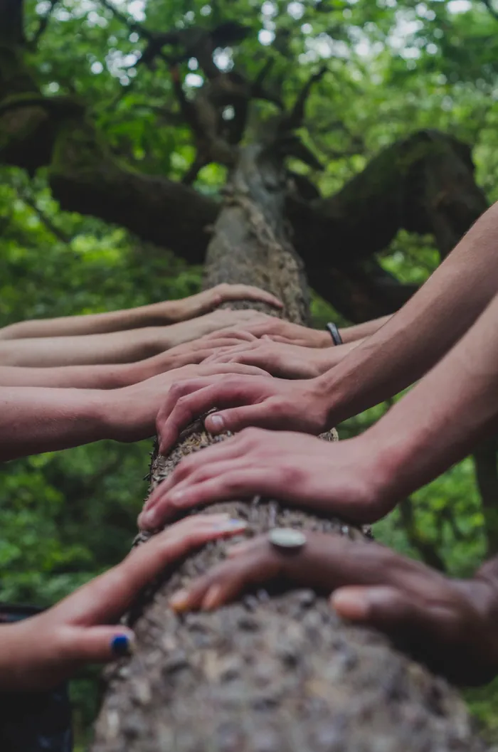 Several hands resting together on a fallen log